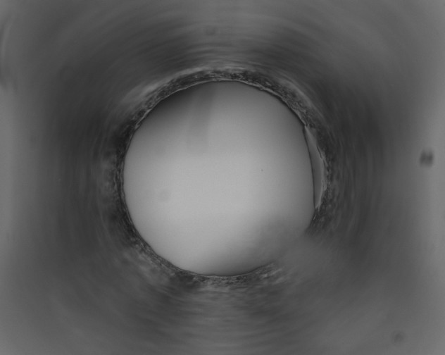 X0000089440773200707131905