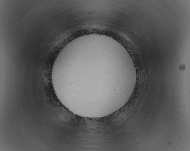 X0000089440774200707131905
