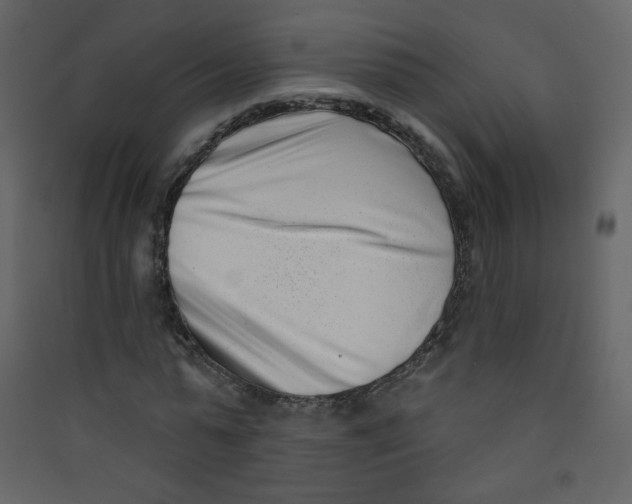 X0000089440775200707131905