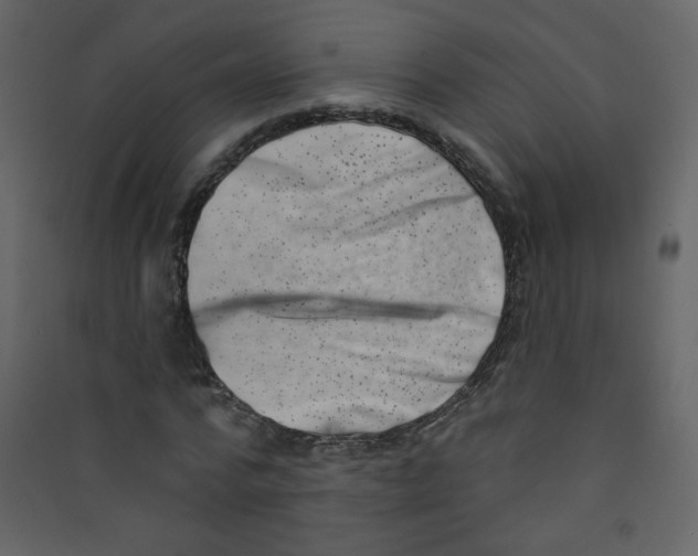 X0000089440776200707131905