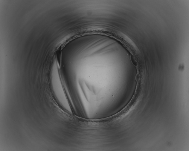X0000089440777200707131905