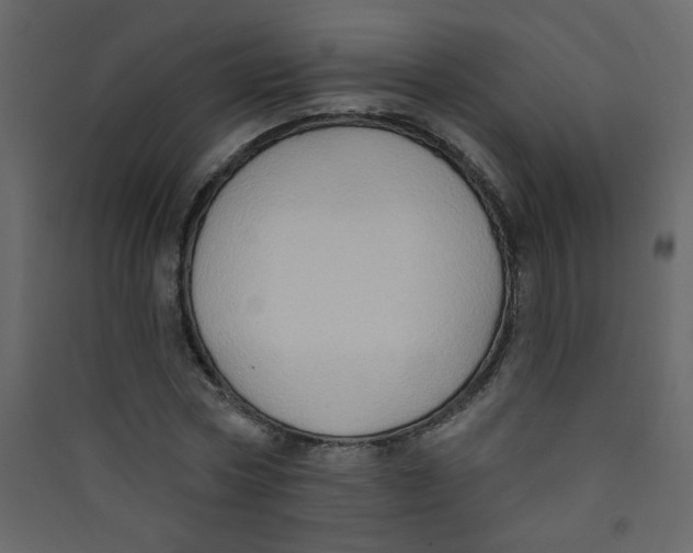 X0000089440778200707131905