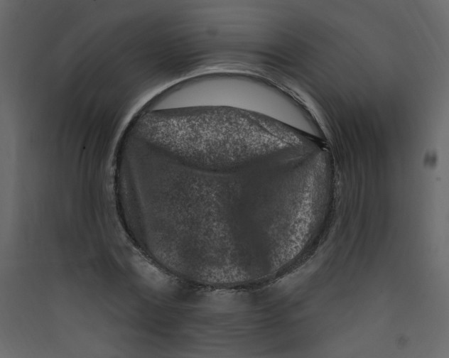 X0000089440779200707131905
