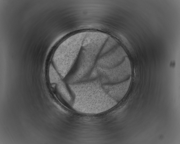 X0000089440780200707131905