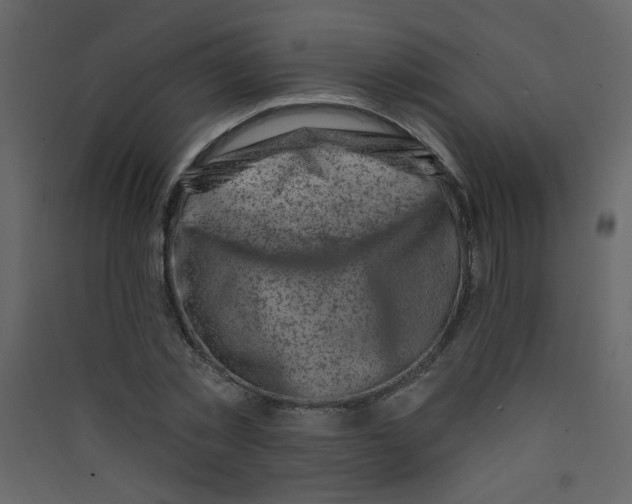 X0000089440781200707131905