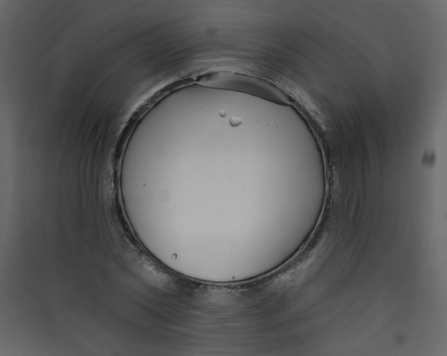X0000089440782200707131905