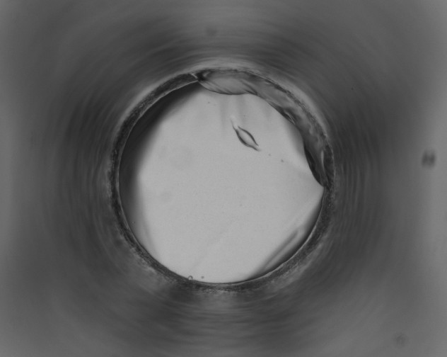 X0000089440783200707131904