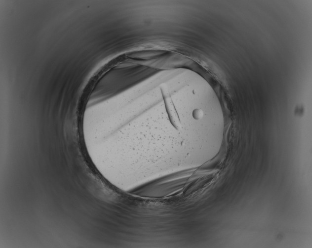 X0000089440784200707131904