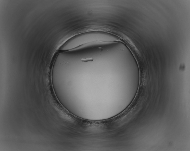 X0000089440786200707131904