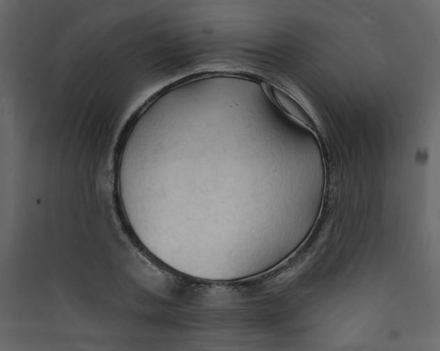 X0000089440787200707131904