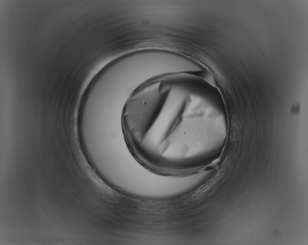 X0000089440788200707131904