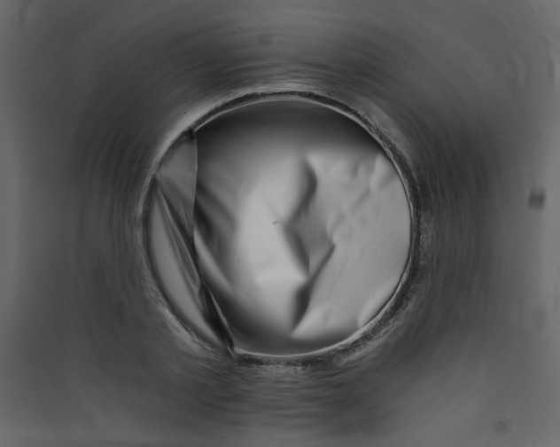 X0000089440789200707131904