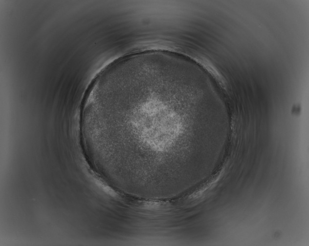 X0000089440790200707131904