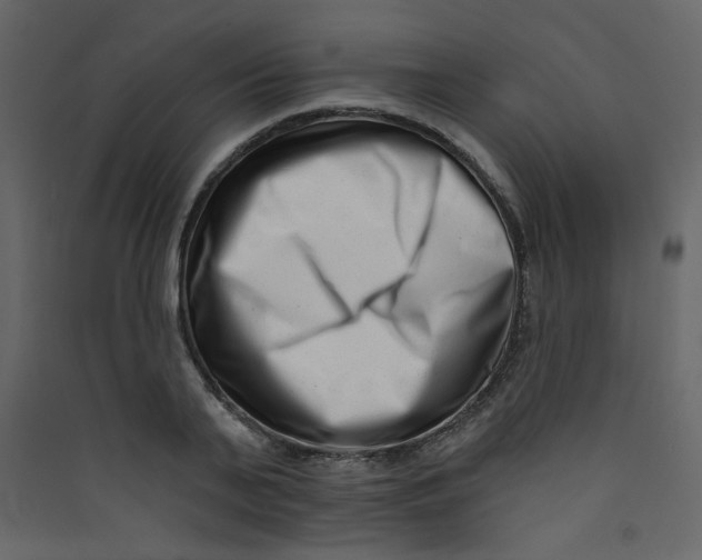 X0000089440791200707131904