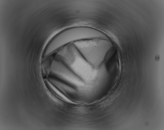 X0000089440792200707131904