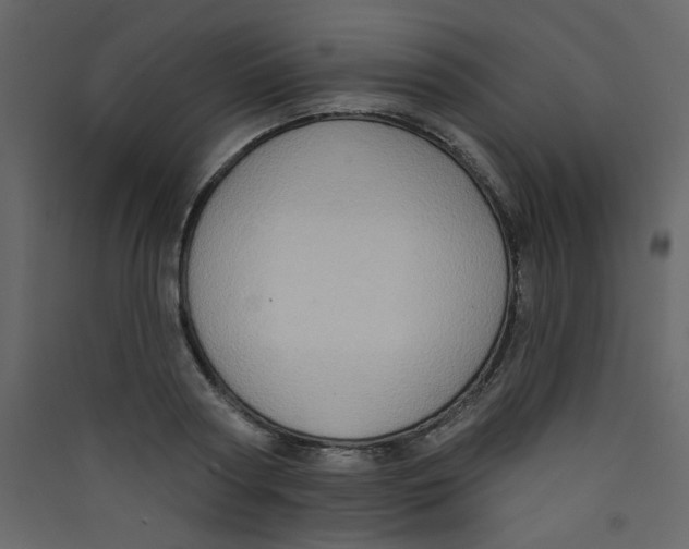 X0000089440794200707131904