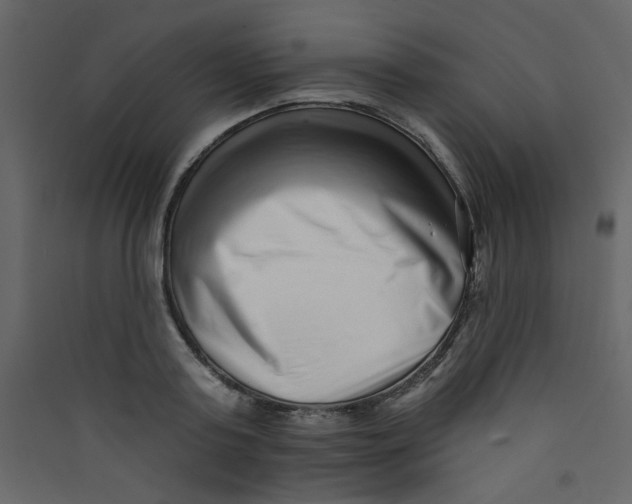 X0000089440795200707131904