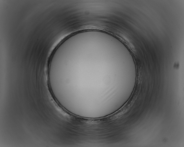 X0000089440796200707131904
