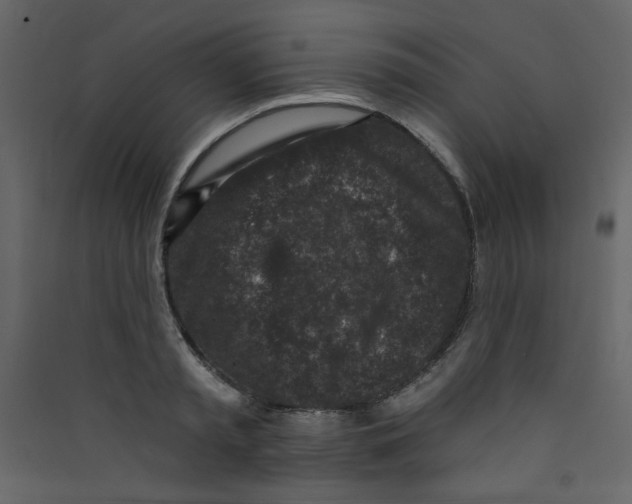 X0000089440797200707131904