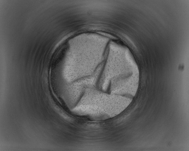 X0000089440798200707131904