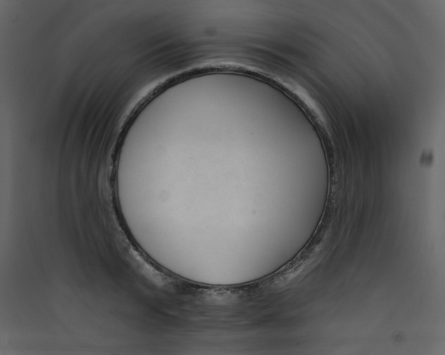 X0000089440799200707131904