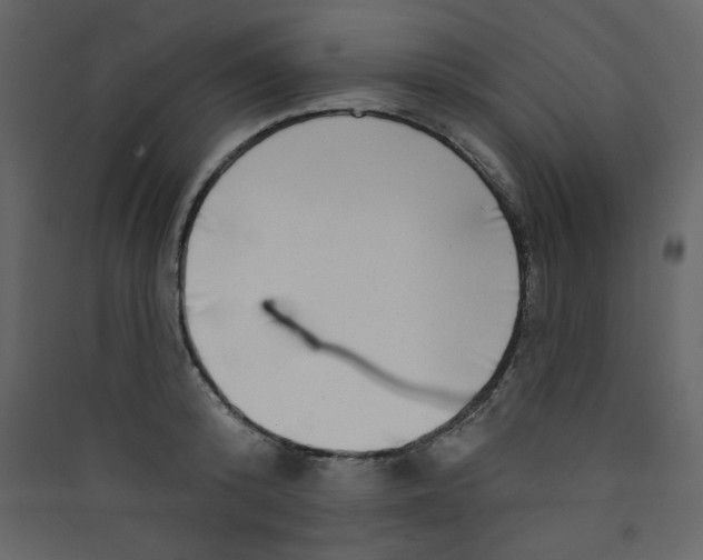 X0000089440800200707131904