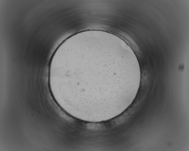 X0000089440804200707131904