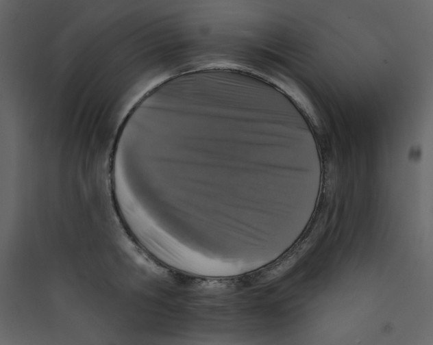 X0000089440806200707131904