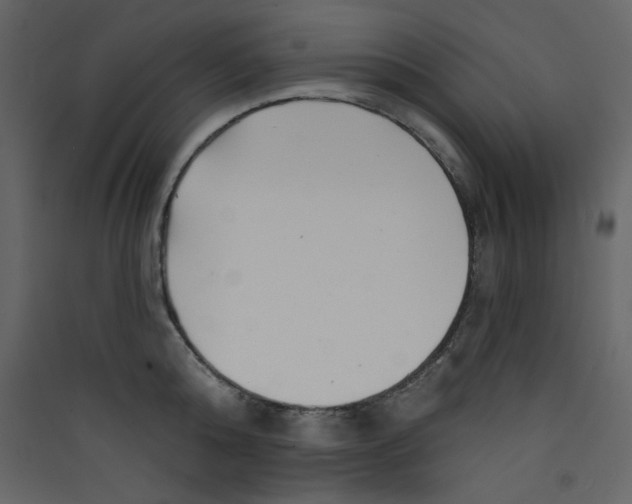 X0000089440808200707131904