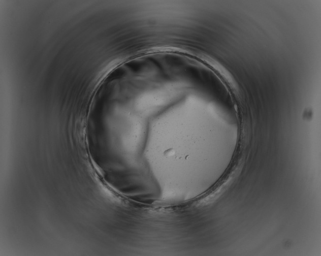 X0000089440809200707131904