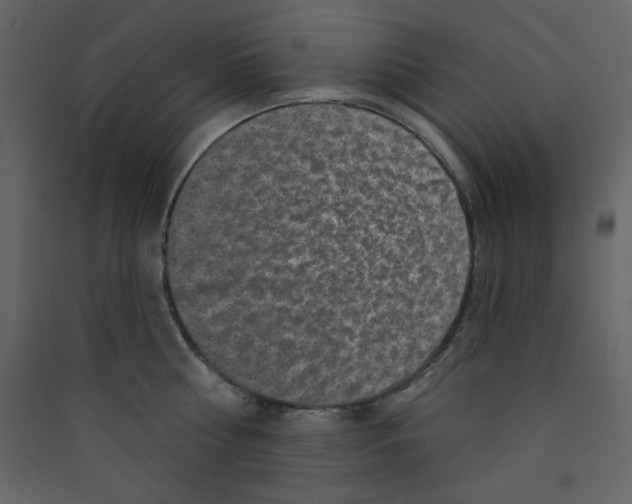 X0000089440810200707131904