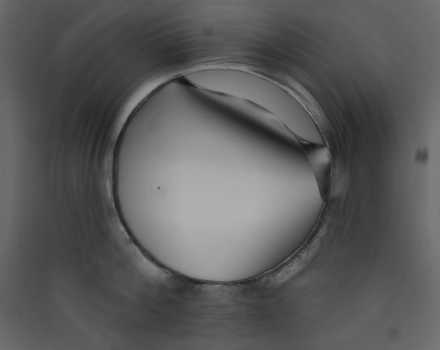 X0000089440812200707131904