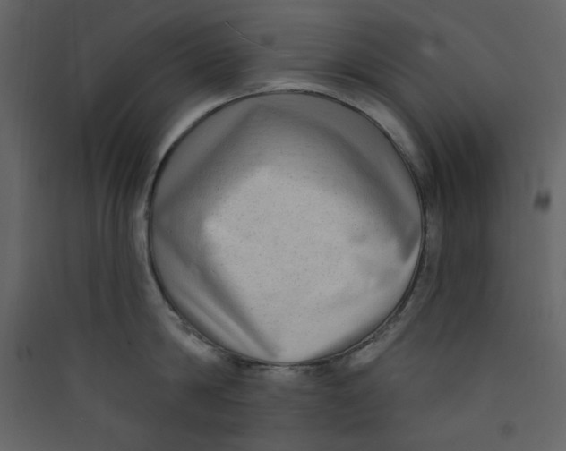 X0000089440814200707131904