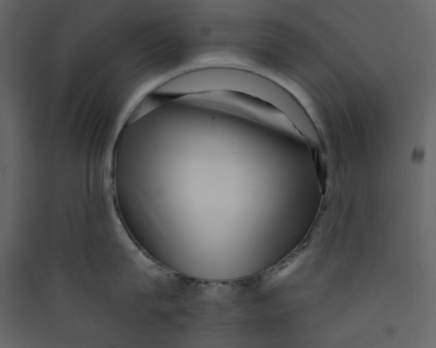 X0000089440815200707131904