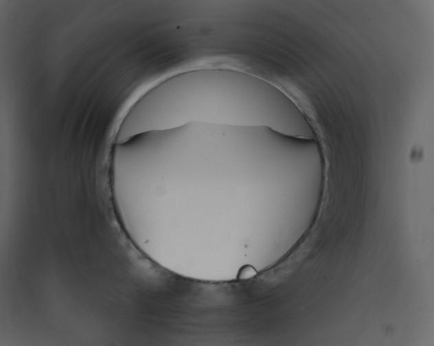 X0000089440816200707131904