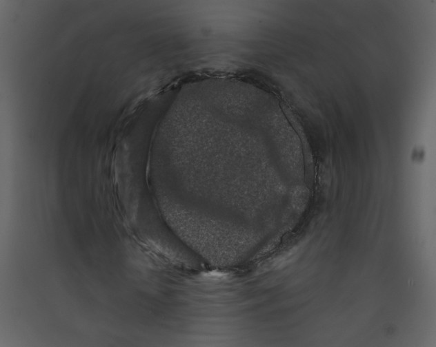 X0000089440818200707131903