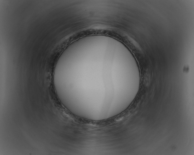 X0000089440821200707131904