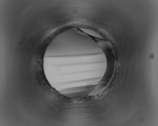 X0000089440822200707131904