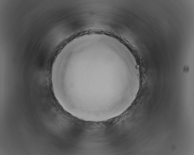 X0000089440824200707131904