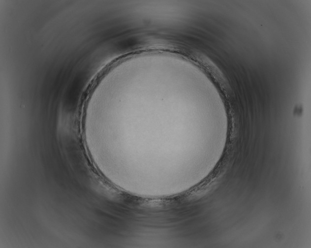 X0000089440828200707131904