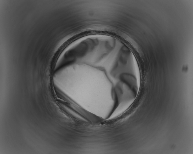 X0000089440829200707131904