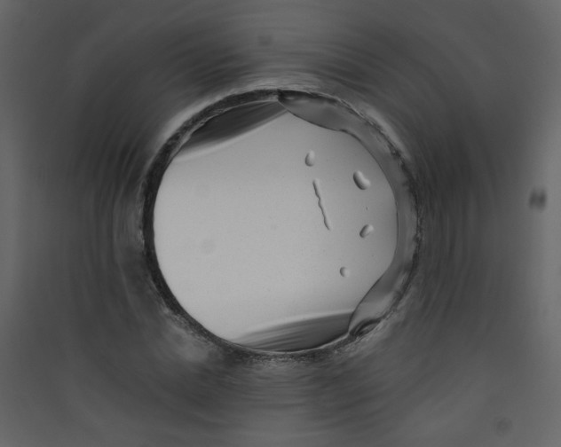 X0000089440830200707131904