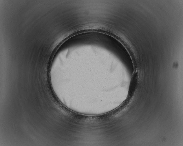 X0000089440834200707131904