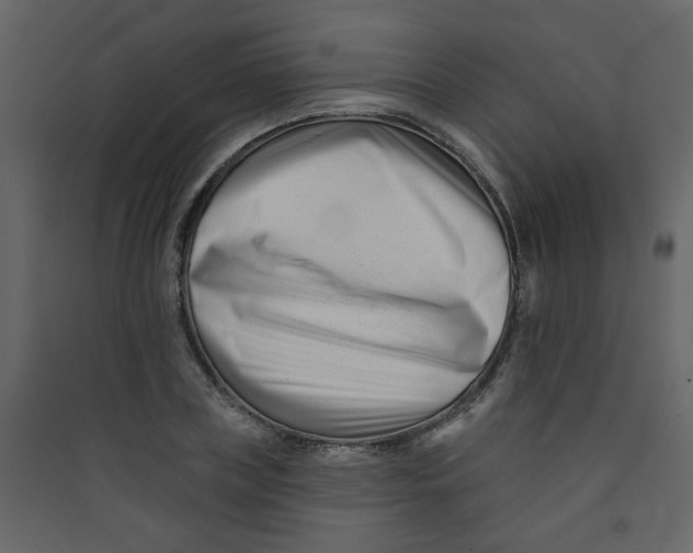 X0000089440835200707131904