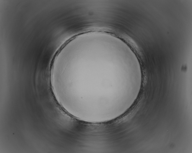 X0000089440836200707131904