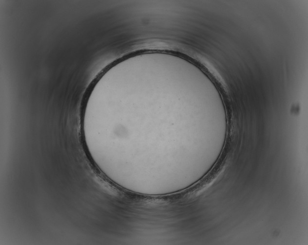 X0000089440837200707131904