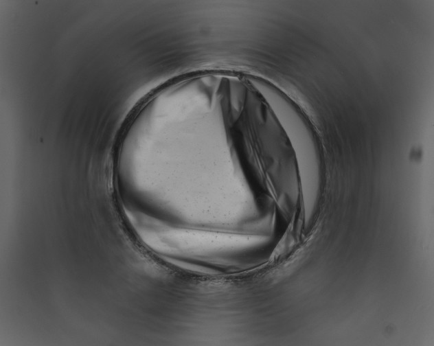 X0000089440838200707131904