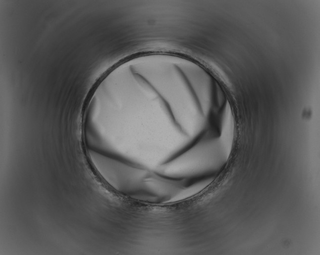 X0000089440839200707131904
