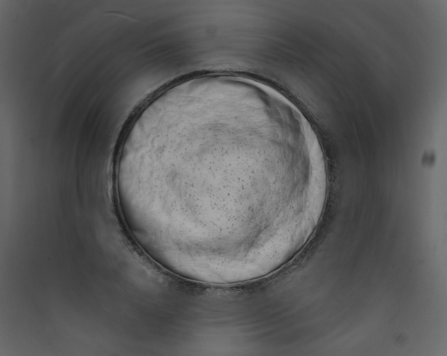 X0000089440840200707131904