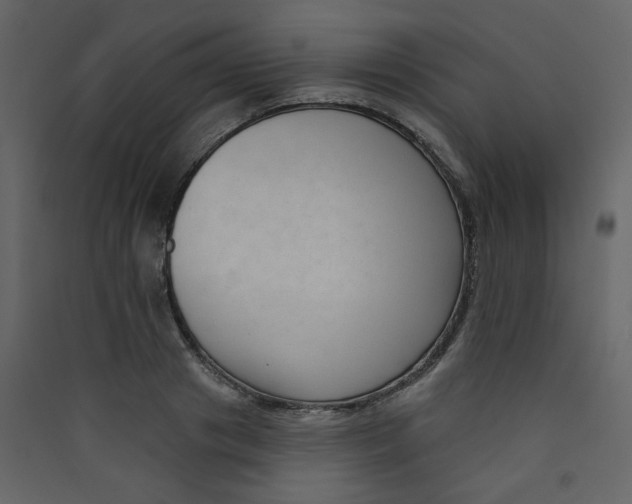 X0000089440841200707131904